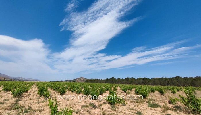 Te koop - Huis - Finca - Cortijo - Yecla - Yecla Centro