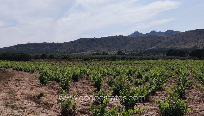 Te koop - Huis - Finca - Cortijo - Yecla - Yecla Centro