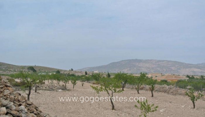 Venta - Parcela - Terreno - Jumilla - Jumilla Centro