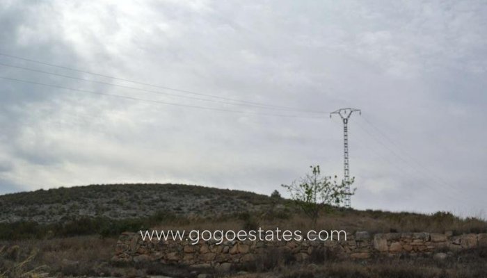 Venta - Parcela - Terreno - Jumilla - Jumilla Centro