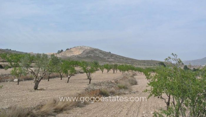 Venta - Parcela - Terreno - Jumilla - Jumilla Centro