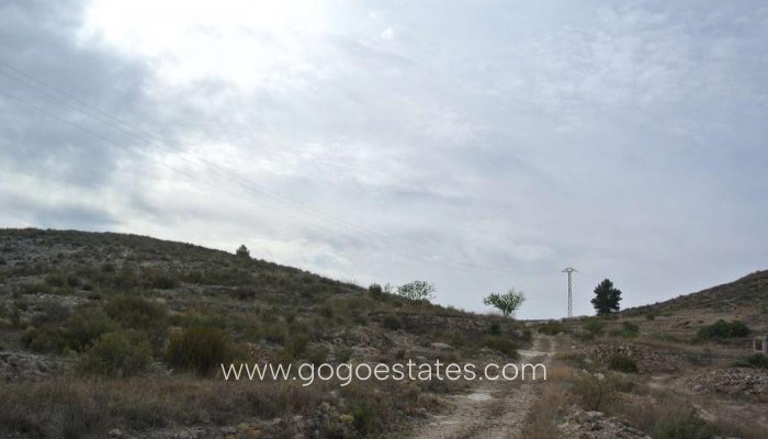 Venta - Parcela - Terreno - Jumilla - Jumilla Centro