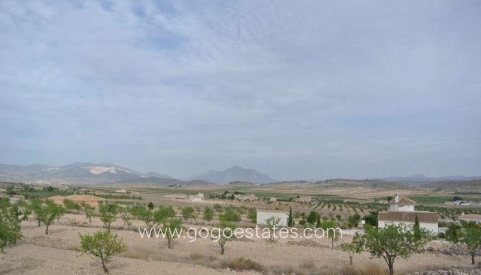 Venta - Parcela - Terreno - Jumilla - Jumilla Centro