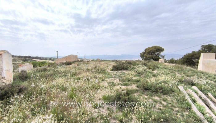 Revente - Maison - Finca - Cortijo - Jumilla - Jumilla Centro