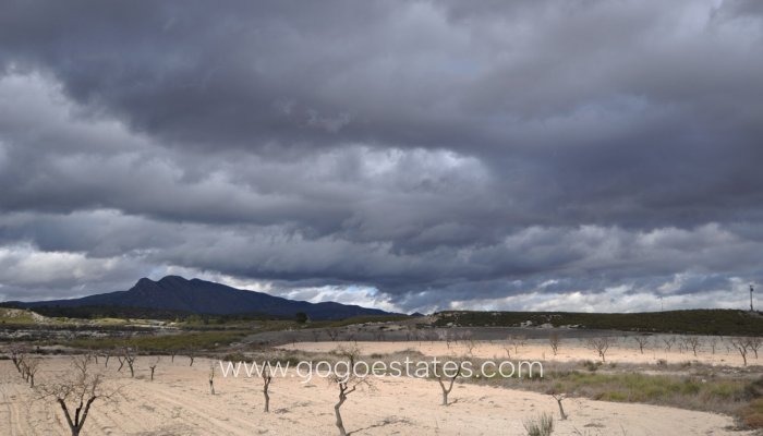 Te koop - Huis - Finca - Cortijo - Jumilla - Jumilla Centro