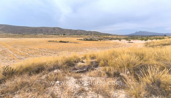 Te koop - Huis - Finca - Cortijo - Jumilla - Jumilla Centro