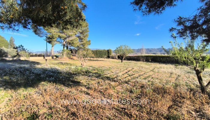 Te koop - Huis - Vrijstaande Villa - Yecla - Yecla Centro