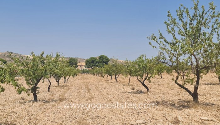 Te koop - Perceel - Land - Jumilla - Jumilla Centro