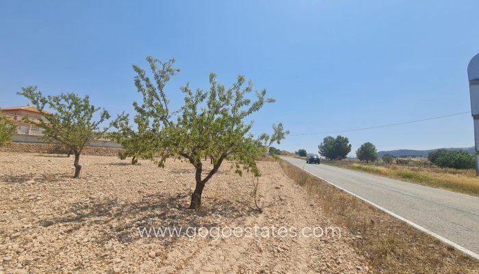 Te koop - Perceel - Land - Jumilla - Jumilla Centro
