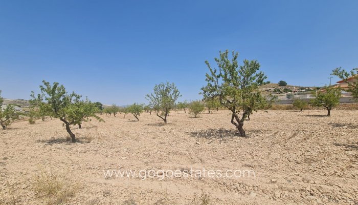 Te koop - Perceel - Land - Jumilla - Jumilla Centro
