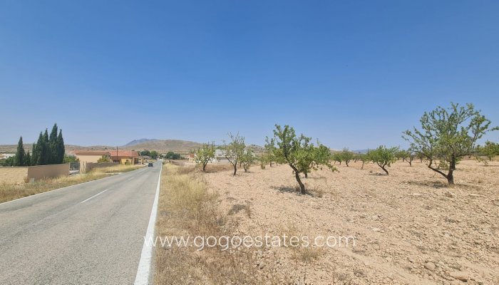 Te koop - Perceel - Land - Jumilla - Jumilla Centro