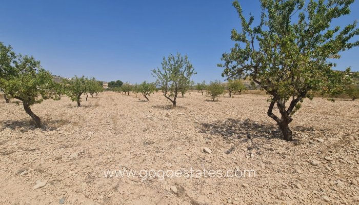 Te koop - Perceel - Land - Jumilla - Jumilla Centro