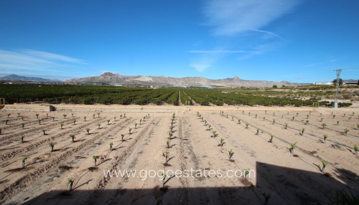 Te koop - Huis - Finca - Cortijo - Murcia - Murcia City