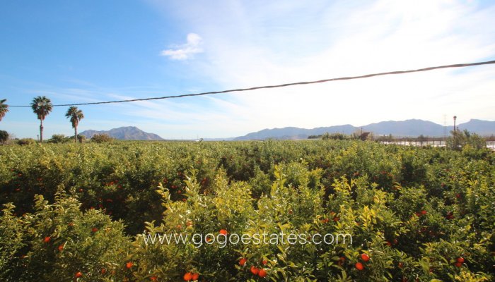 Te koop - Huis - Finca - Cortijo - Murcia - Murcia City