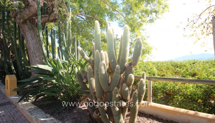 Te koop - Huis - Finca - Cortijo - Murcia - Murcia City