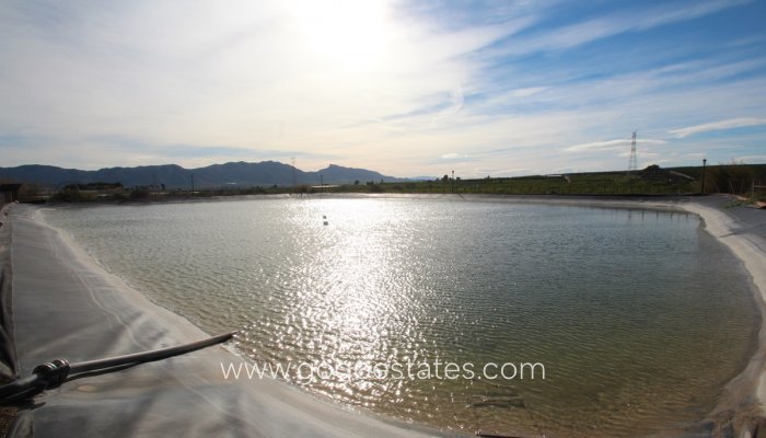 Te koop - Huis - Finca - Cortijo - Murcia - Murcia City