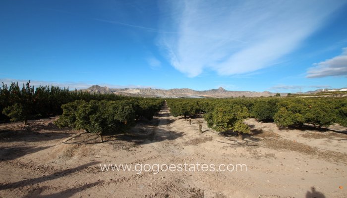 Te koop - Huis - Finca - Cortijo - Murcia - Murcia City
