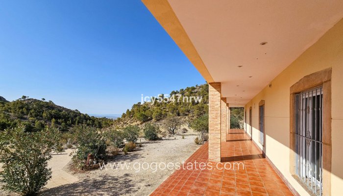 Te koop - Huis - Vrijstaande Villa - Fortuna - Fortuna Centro