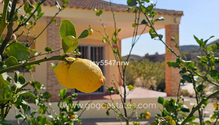 Te koop - Huis - Vrijstaande Villa - Fortuna - Fortuna Centro