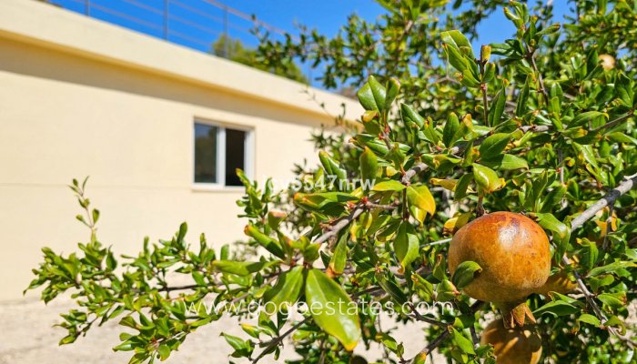 Te koop - Huis - Vrijstaande Villa - Fortuna - Fortuna Centro