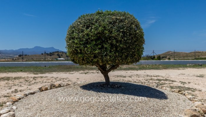 Te koop - Huis - Finca - Cortijo - Jumilla - Torre del Rico