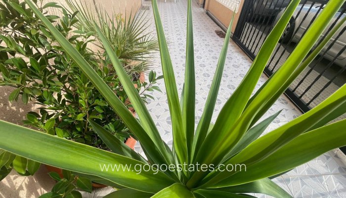 Te koop - Huis - Halfvrijstaande woning - San Pedro Del Pinatar - Lo Pagán