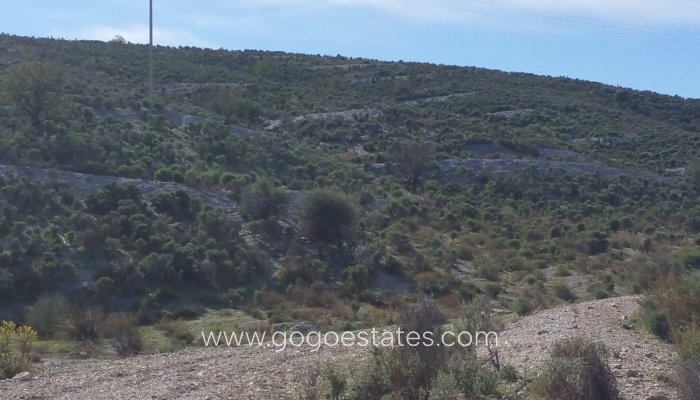 Te koop - Perceel - Land - Lorca - Lorca Centro