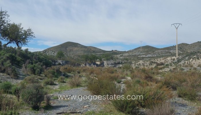 Te koop - Perceel - Land - Lorca - Lorca Centro