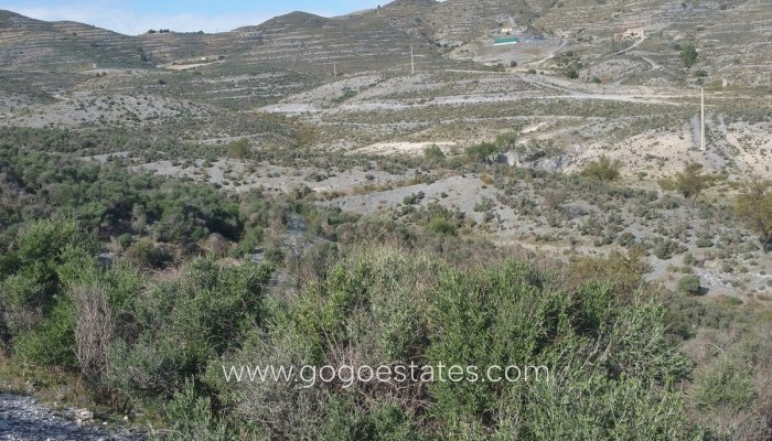 Te koop - Perceel - Land - Lorca - Lorca Centro