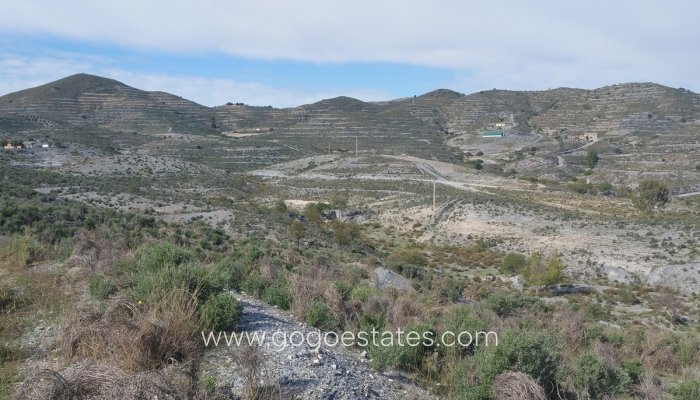 Te koop - Perceel - Land - Lorca - Lorca Centro