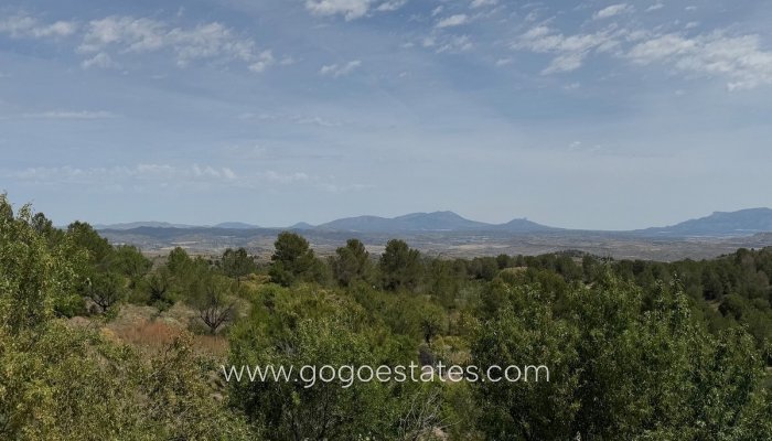 Te koop - Huis - Vrijstaande Villa - Lorca - Lorca Centro