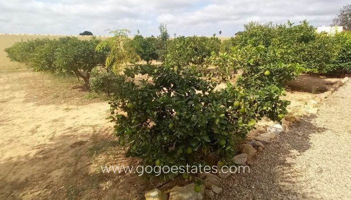 Te koop - Huis - Finca - Cortijo - San Javier - San Javier Centro