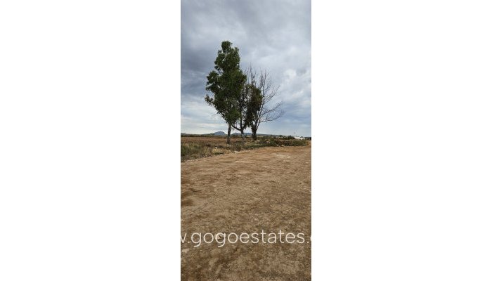 Te koop - Perceel - Commercieel perceel - Murcia - Balsicas