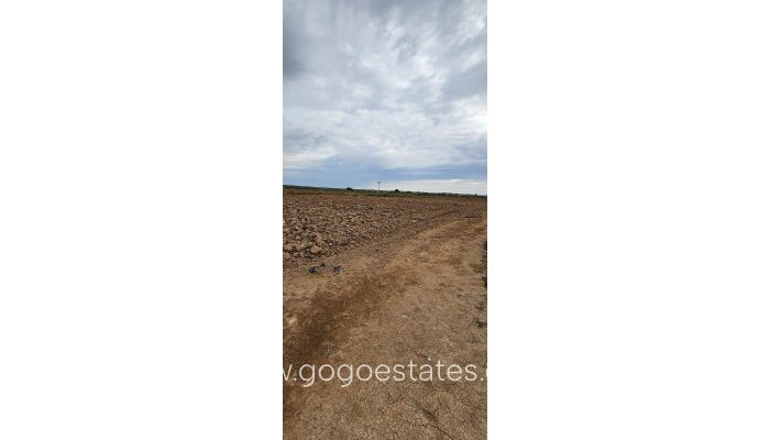 Te koop - Perceel - Commercieel perceel - Murcia - Balsicas