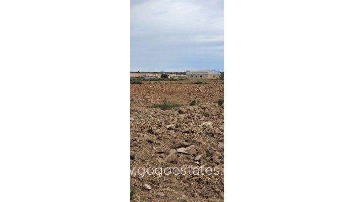 Te koop - Perceel - Commercieel perceel - Murcia - Balsicas