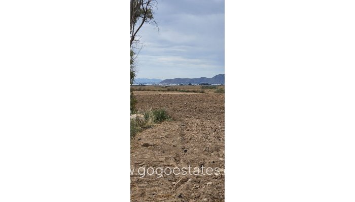 Te koop - Perceel - Commercieel perceel - Murcia - Balsicas