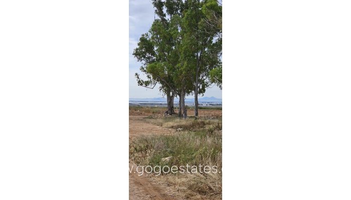 Te koop - Perceel - Commercieel perceel - Murcia - Balsicas