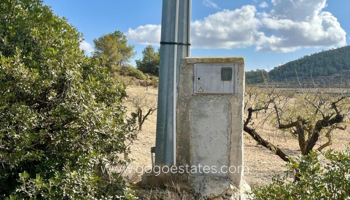 Revente - Terrain - Terrain - Bullas - Bullas Centro