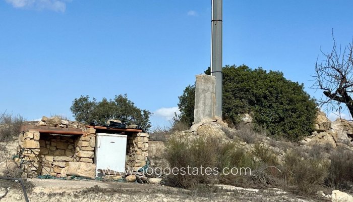 Revente - Terrain - Terrain - Bullas - Bullas Centro