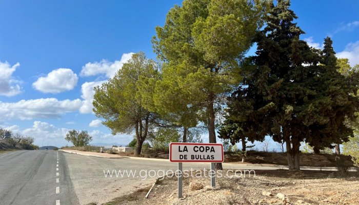 Revente - Terrain - Terrain - Bullas - Bullas Centro