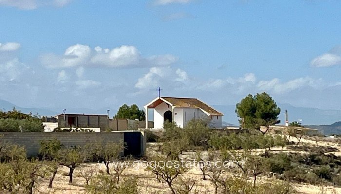 Revente - Terrain - Terrain - Bullas - Bullas Centro