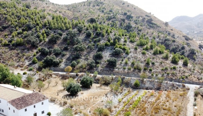Resale - House - Finca - Cortijo - Tabernas