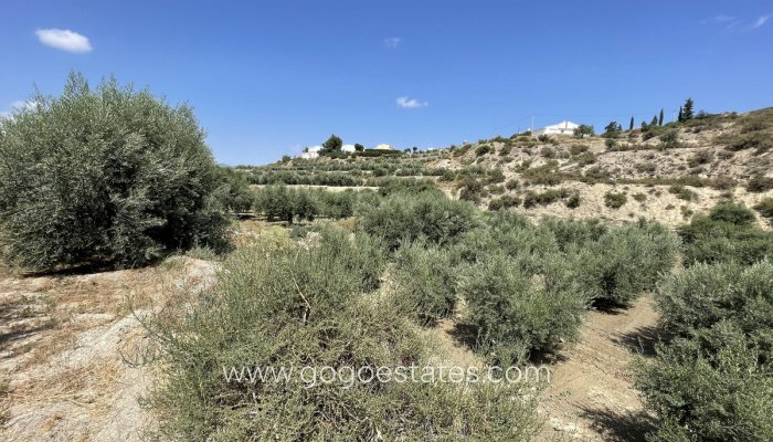 Resale - Plot - Land - Huércal-Overa