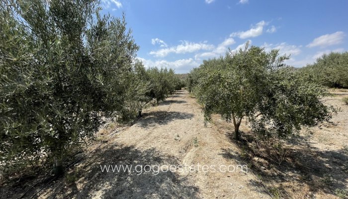 Resale - Plot - Land - Huércal-Overa