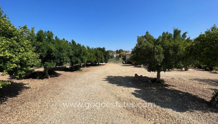 Revente - Maison - Villa Individuelle - Vélez-Blanco