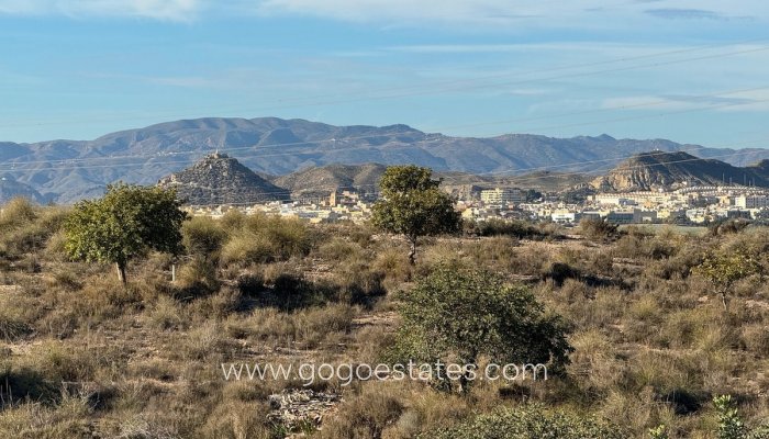 Te koop - Huis - Vrijstaande Villa - Vera