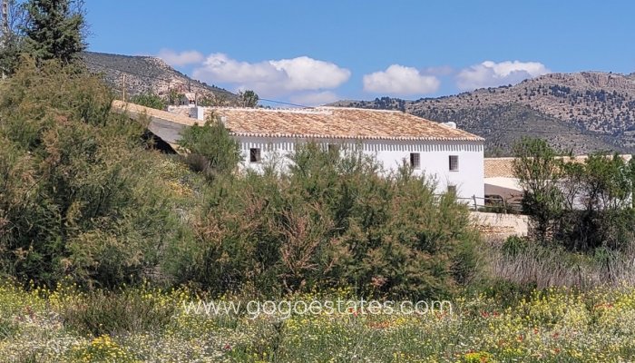 Revente - Maison - Finca - Cortijo - Vélez-Blanco