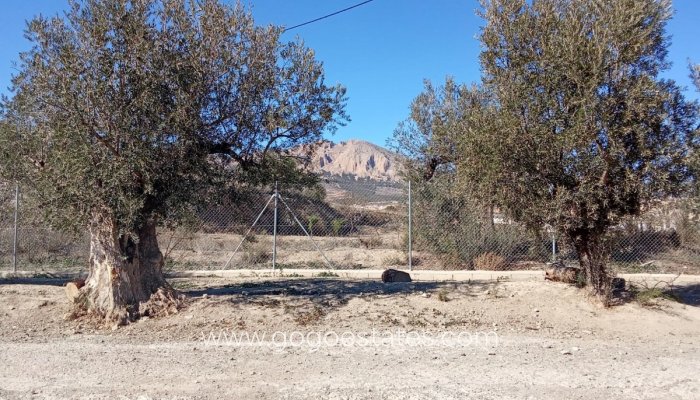 Resale - House - Detached Villa - Velez Rubio