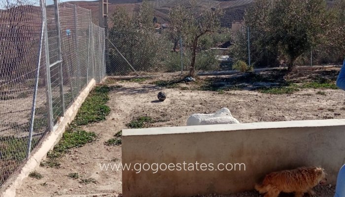 Resale - House - Detached Villa - Velez Rubio