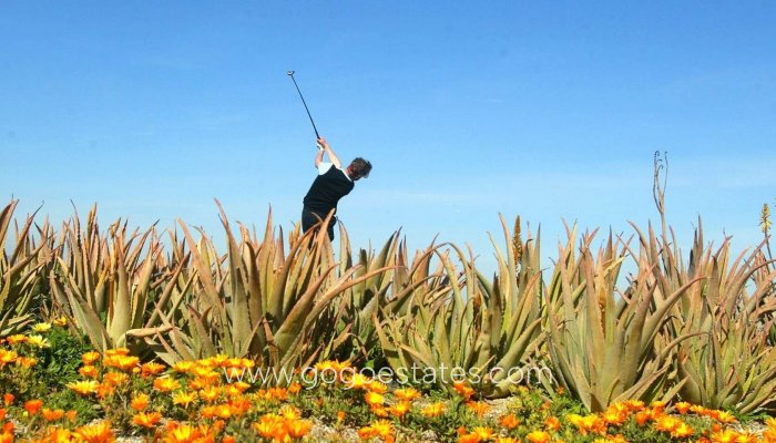 Nouvelle construction - Villa - Cuevas del Almanzora - Villaricos